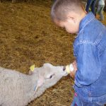 © Ferme pédagogique l'Arche de Noë - Crozet