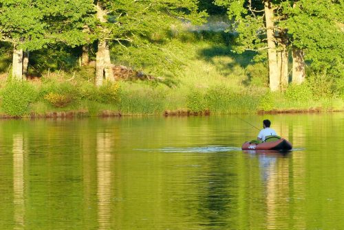 Pêche en float-tube et barque - Lac du Balbuzard