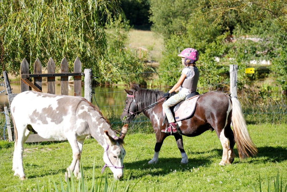 © La Ferme de Montmarzy - Ertel