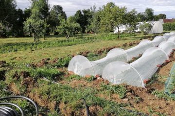 © Les Jardins de Saint Maigner - Blanchard