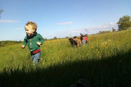 Camping à la Ferme