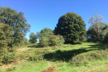 © Paysage de bocage de la ferme - Ferme Le soleil des p’tits bleus