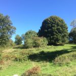 © Paysage de bocage de la ferme - Ferme Le soleil des p’tits bleus