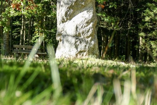 Menhir du Bois des Brosses