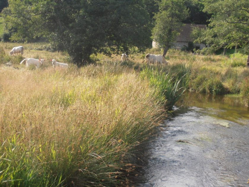 © Ruisseau du Tyx - Combrailles Auvergne Tourisme