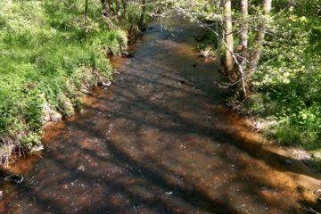 © Ruisseau du Tyx - Combrailles Auvergne Tourisme