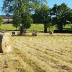 © La Parenthèse à Saint-Gervais-d'Auvergne - LNR