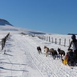 © Balade en chiens de traîneau à Bromont-Lamothe - ESD