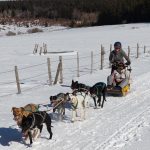 © Balade en chiens de traîneau à Bromont-Lamothe - ESD