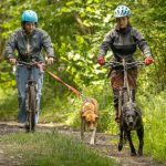 © Cani-trottinette à Bromont-Lamothe - JF