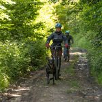 © Cani-trottinette à Bromont-Lamothe - JF