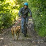 © Cani-trottinette à Bromont-Lamothe - JF