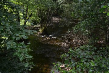 © La vallée de la Clidane_Bourg-Lastic - OT Combrailles