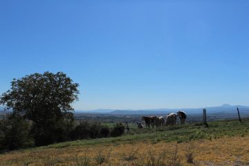 © La vigne du puy de Loule_Beauregard-Vendon - OT Combrailles