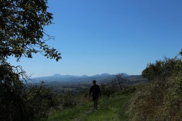 © La vigne du puy de Loule_Beauregard-Vendon - OT Combrailles