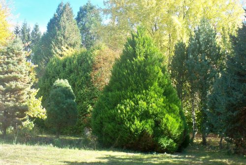 Arboretum de Haute Combraille