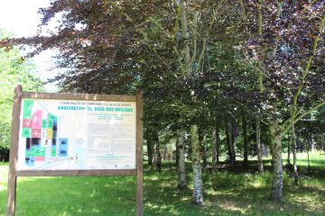 © Arboretum du Bois des Brosses - OT Combrailles