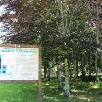 © Arboretum du Bois des Brosses - OT Combrailles