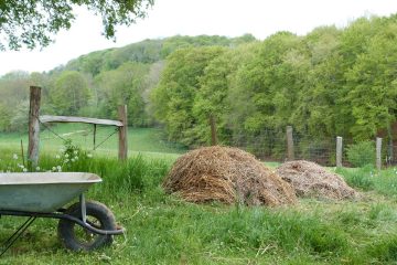 © Le Chant des Herbes Folles - Guillot