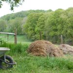 © Le Chant des Herbes Folles - Guillot