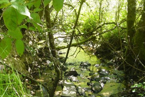 Site de pêche - Rivière Le Chavanon